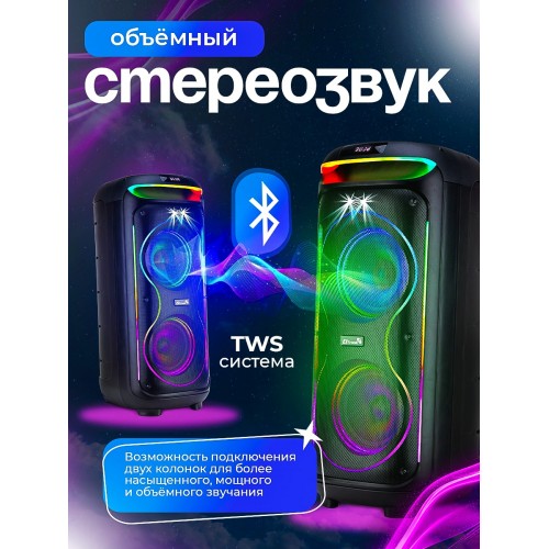 Портативная акустическая система ELTRONIC 08 30-29 DANCE BOX 1000 (черный) 4