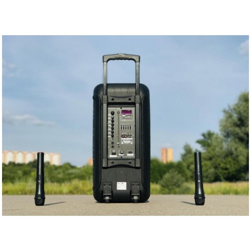 Портативная акустическая система Eltronic 10 20-14 Dance Box 300 (черный) 9