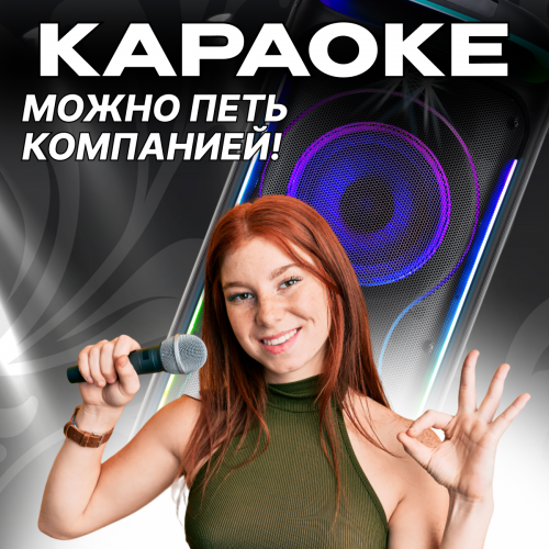 Портативная акустическая система ELTRONIC 10 30-30 DANCE BOX 1200 (черный) 7