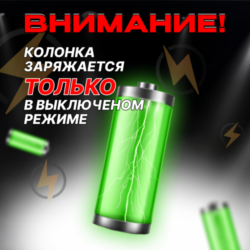 Портативная акустическая система ELTRONIC 10 30-30 DANCE BOX 1200 (черный) 9