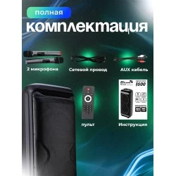 Портативная акустическая система Eltronic 12 (30-54) DANCE BOX 1500 (черный)