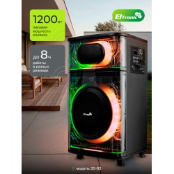Портативная акустическая система ELTRONIC 12 (30-83) SKILLETS BOX 1200 (черный)
