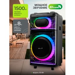 Портативная акустическая система ELTRONIC 12 (30-84) SKILLETS BOX 1500 (черный)