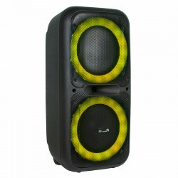 Портативная акустическая система ELTRONIC 20-05 DANCE BOX 500 (черный)