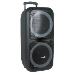 Портативная акустическая система Eltronic 20-07 Dance Box (черный)