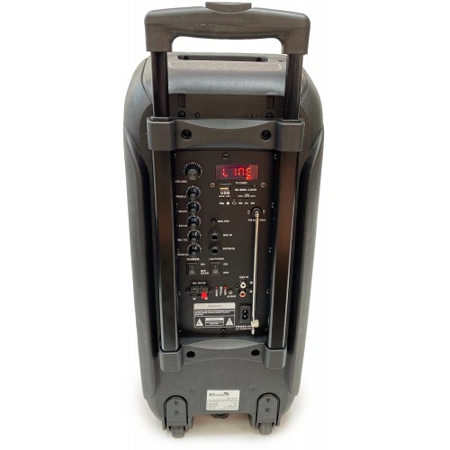 Портативная акустическая система Eltronic 20-07 Dance Box (черный) 1