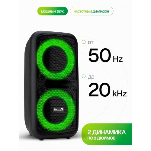 Портативная акустическая система Eltronic 20-07 Dance Box (черный) 1