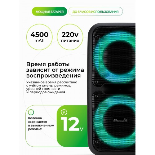 Портативная акустическая система Eltronic 20-07 Dance Box (черный) 2