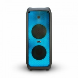 Портативная акустическая система Eltronic 20-56 Fire BOX (черный)