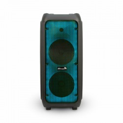 Портативная акустическая система Eltronic 20-59 Fire Box 500 (черный)