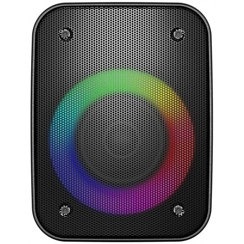 Портативная акустическая система Hyundai H-PS1005 (черный) 