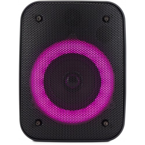 Портативная акустическая система Hyundai H-PS1005 (черный) 5