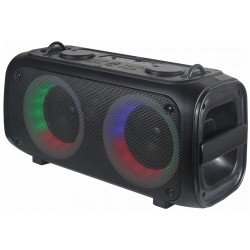 Портативная акустическая система Hyundai H-PS1030 (черный)