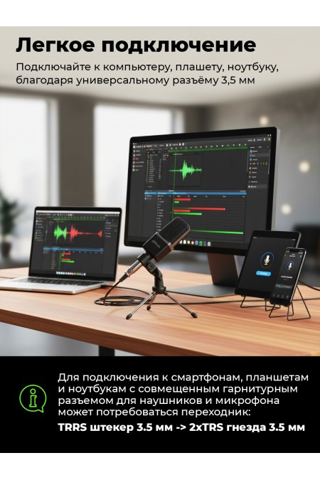 Микрофон Ritmix RDM-123 2