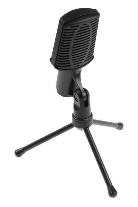 Микрофон Ritmix RDM-125 2