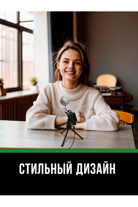 Микрофон RITMIX RDM-127 6