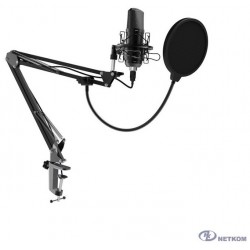 Микрофон Ritmix RDM-169