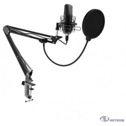 Микрофон Ritmix RDM-169