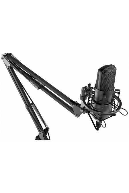 Микрофон Ritmix RDM-169 1