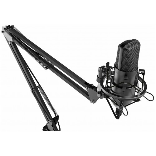 Микрофон Ritmix RDM-169 1