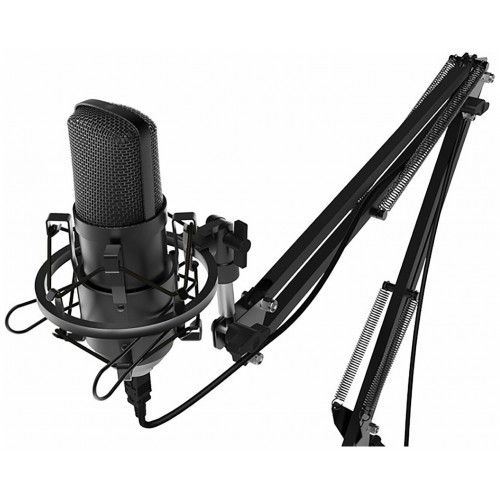 Микрофон Ritmix RDM-169 2