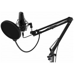 Микрофон Ritmix RDM-169