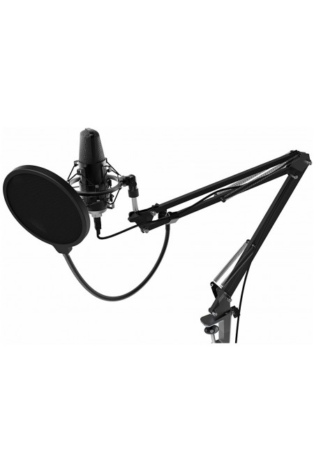 Микрофон Ritmix RDM-169 