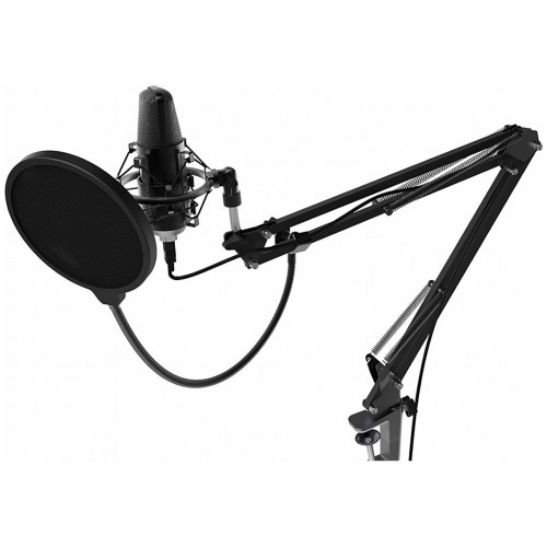 Микрофон Ritmix RDM-169 3