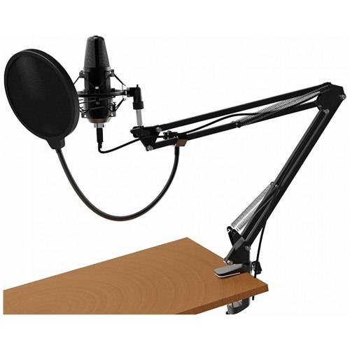 Микрофон Ritmix RDM-169 6