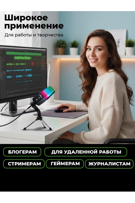 Микрофон Ritmix RDM-170 1