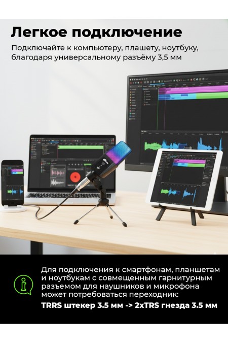 Микрофон Ritmix RDM-170 2