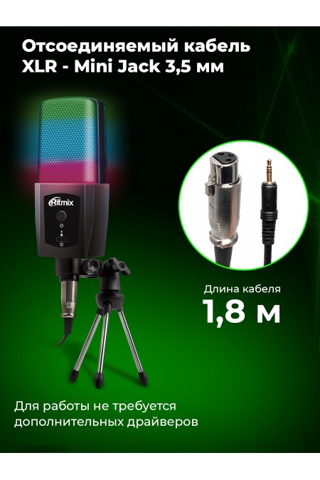 Микрофон Ritmix RDM-170 3