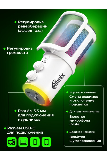 Микрофон RITMIX RDM-178 1