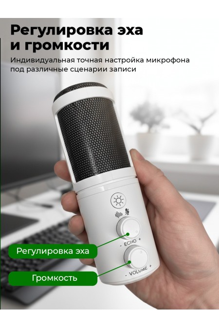 Микрофон RITMIX RDM-178 9