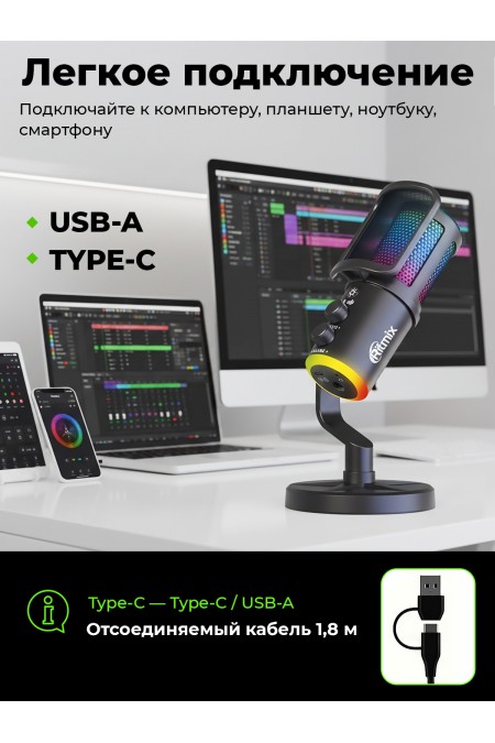 Микрофон RITMIX RDM-178 3