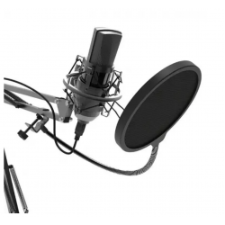 Микрофон Ritmix RDM-180