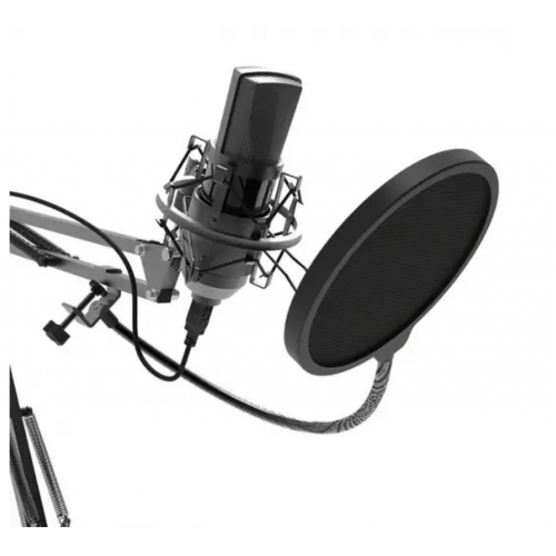 Микрофон Ritmix RDM-180 