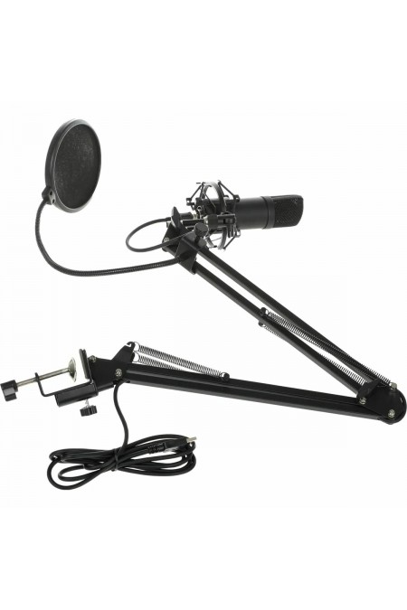 Микрофон Ritmix RDM-180 