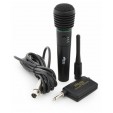  Ritmix RWM-100
