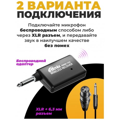 Микрофон Ritmix RWM-100 8