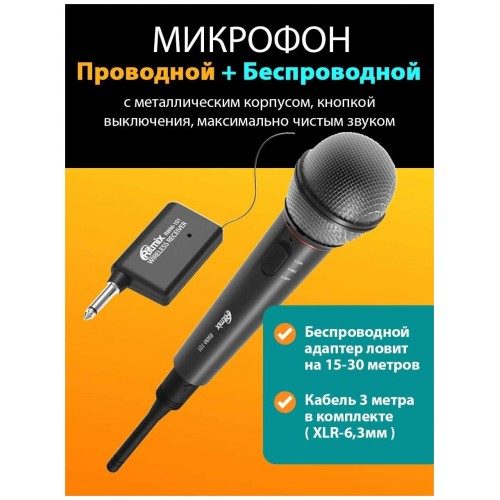 Микрофон Ritmix RWM-101 3