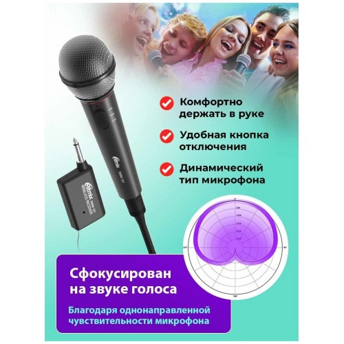 Микрофон Ritmix RWM-101 4