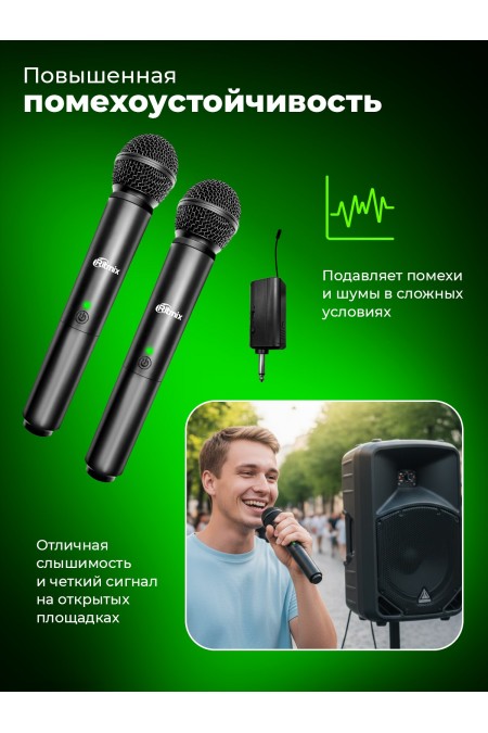 Микрофон RITMIX RWM-422 1