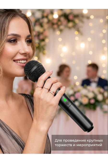 Микрофон RITMIX RWM-422 8