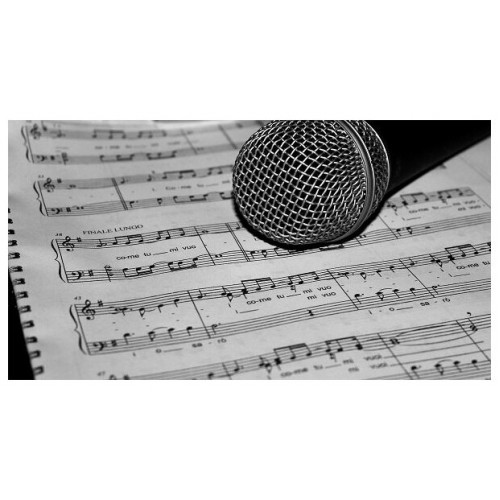 Микрофон Shure PGA48-QTR-E 2