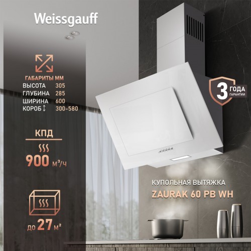 Каминная вытяжка Lex MOZA 600 R1 (черный) 9