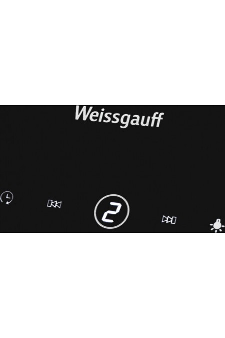 Каминная вытяжка Weissgauff ASSY 60 TC BL (черный) 6
