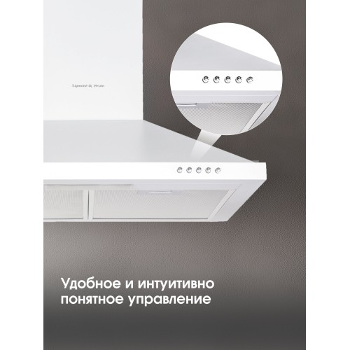 Каминная вытяжка Zigmund Shtain K 139.6 W (белый) 1