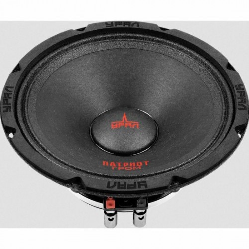 Автомобильная акустика УРАЛ АС-ПТ165.2 ГРОМ (без решетки) (черный) 2