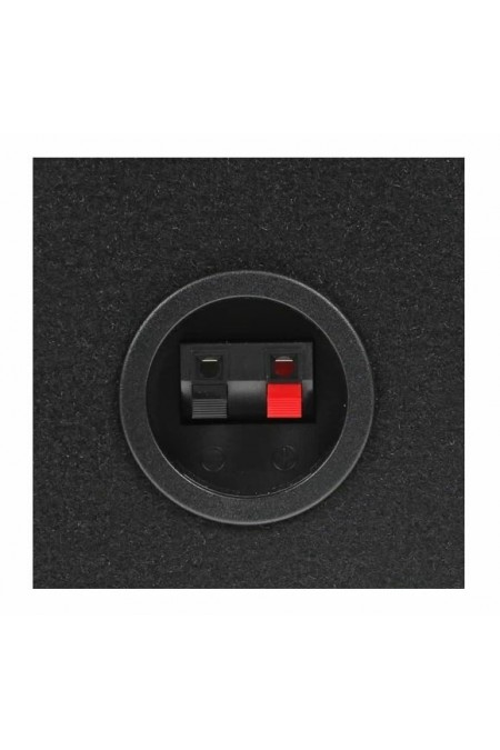 Сабвуфер автомобильный Pioneer TS-WX306B (черный) 4